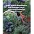 High Speed Gardening the Organic Way: Tips and Projects