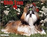 Just Shih Tzus 2008 Wall Calendar