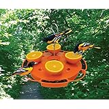 Songbird Essentials SE905 Ultimate Oriole Feeder