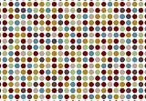 Spotted Hug Rug (hg39) with eco genics backing 60 x 85cm