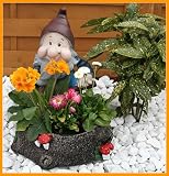 Eigenschaften   / Zwerg mit Spaten,Pflanzkübel,Blumenkasten,Blumentopf