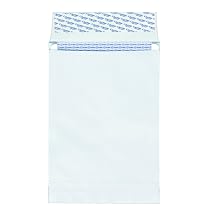 Columbian CO831 9x12-Inch DuraShield Security Tinted White Envelopes, 100 Count