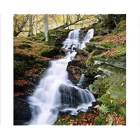 Photographic Prints of The Birks of Aberfeldy in Tayside from Robert Harding