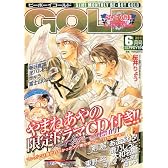 BE×BOY GOLD (ビーボーイゴールド) 2011年 06月号 [雑誌]