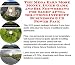 Book The Mega Earn More Money, Inner Game and Biz Networking for Sleep Apnea Solutions Internet Businesses 3 CD Power Pack