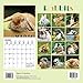 Rabbit Calendar - 2017 Wall Calendars - Calendar 2016 - Wildlife Calendar - Monthly Wall Calendar by Magnum