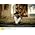 Thumbnail image of Milos Karadaglic