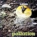Pollution
