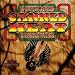 Canned Heat-Woodstock Homecoming