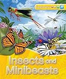 Insects and minibeasts