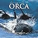 2016 Orcas Wall Calendar