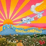 Anthems For Doomed Youth [VINYL]