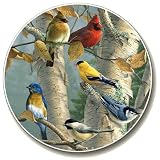 Songbirds Auto Coaster - Single Coaster for Your Car