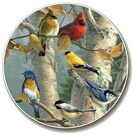 Songbirds Auto Coaster - Single Coaster for Your Car by Highland Graphics Creative Ventures