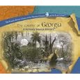 The Colony of Georgia: A Primary Source History (The Primary Source Library of the Thirteen Colonies and the Lost... by  Melody S. Mis