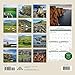 Avalanche January to December, 12 x 24 Inches, Perfect Timing Ireland 2015 Wall Calendar (7001618)