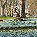 2016 English Country Gardens Wall Calendar