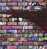 Graffiti World (Updated Edition): Street Art from Five Continents