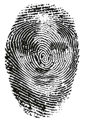 identity theft protection