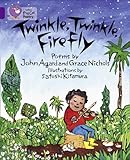 Twinkle, twinkle, firefly