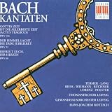 Bach: Cantatas, Nos 31, 66 & 106