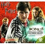 2011 Harry Potter and the Deathly Hallows Mini Calendar