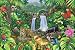 Harmony (Rain Forest) Art Poster Print - 24