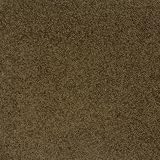 Embrace Carpet Tiles - Role Call (20x20