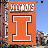 Illinois Fighting Illini Applique Banner Flag