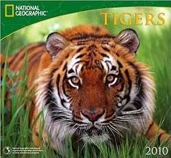 Tigers National Geographic 2010 Wall Calendar