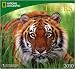 Tigers National Geographic 2010 Wall Calendar