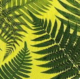 Caspari John Derian Ferns Set of 40 Paper Cocktail Napkin in A Gift Box, Green