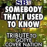 Somebody That I Used To Know