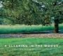 A Clearing in the Woods: Creating Contemporary Gardens