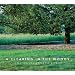 A Clearing in the Woods: Creating Contemporary Gardens