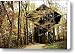 Chapel In The Woods Canvas Print / Canvas Art - Artist Lana Trussell