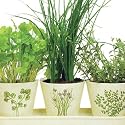 Organic Indoor Gardening Gift Set: Includes 3 Ceramic Planters embossed with Italian Herbs, Drip Tray, Organic Seeds, Pellets (soil) and easy Growing Instructions.