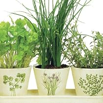 Organic Indoor Gardening Gift Set: Includes 3 Ceramic Planters embossed with Italian Herbs, Drip Tray, Organic Seeds, Pellets (soil) and easy Growing Instructions.