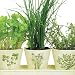 Organic Indoor Gardening Gift Set: Includes 3 Ceramic Planters embossed with Italian Herbs, Drip Tray, Organic Seeds, Pellets (soil) and easy Growing Instructions.