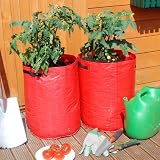 from Kingfisher Pack of 2 Planter Tomato Grow Bag