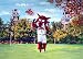 Arkansas Painting - Big Red at Old Main