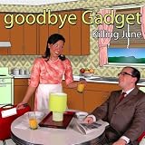 Goodbye Gadget
