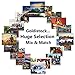 North American Wildlife 2016 Wall Calendar- 18.5