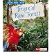 Explore the Tropical Rain Forest (Explore the Biomes series)