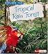 Explore the Tropical Rain Forest (Explore the Biomes series) (Explore the Biomes)