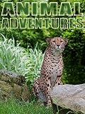 Animals Adventures - Fun For Kids and Adults
