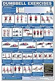Dumbbell Exercises-Shoulders & Arms Laminated (Poster)