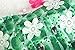 JerrisApparel New Princess Party Dress Costume With Flower Cape (7, Green)