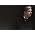 Miniaturansicht von Lloyd Cole