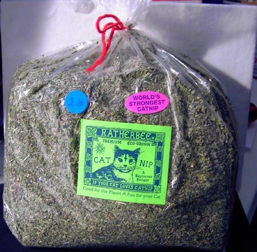 Ratherbee Premium Eco-Grown Catnip Loose Bulk 1 Pound Bag